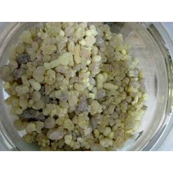 Günlük Sakızı   200  GR   ( KÖNLÜK )